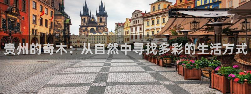 怎么下载新宝gg