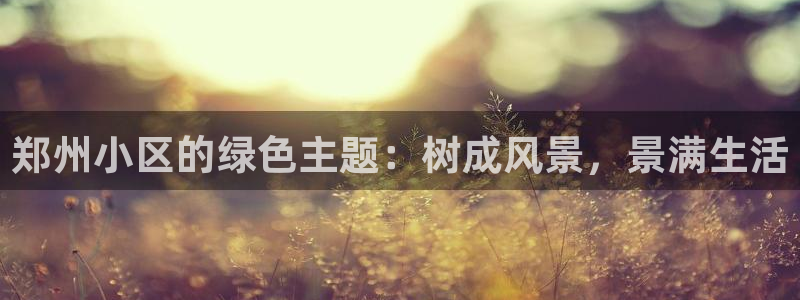 新宝gg娱乐-上鼎狐网