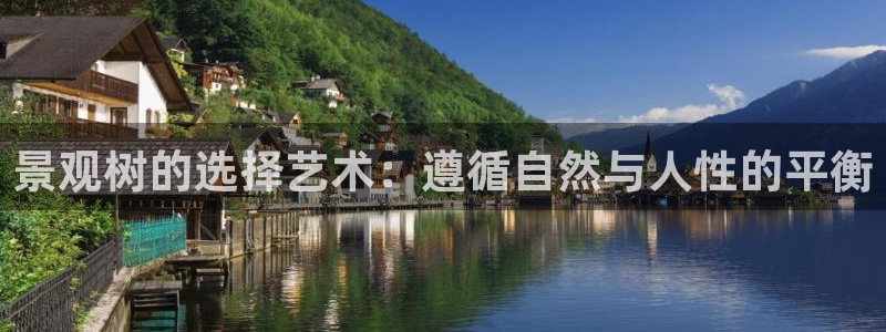 新宝gg下载官网下载：景观树的选择艺术：遵循自然与人性的平衡