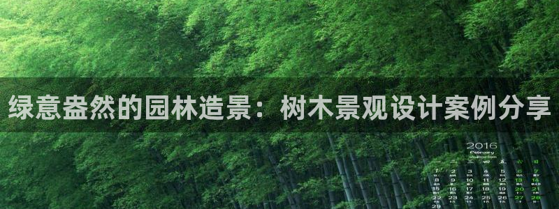 新浪新闻新宝gg