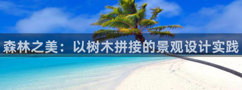 新宝Gg测速地址