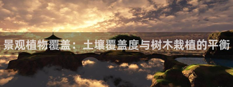 新宝gg用哪个浏览器