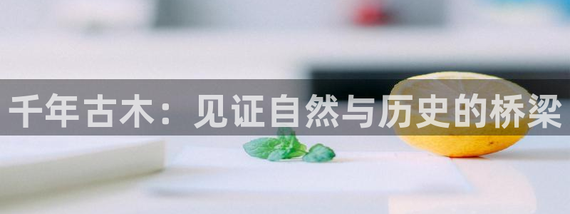 宝GG账78778新宝GG俪78778