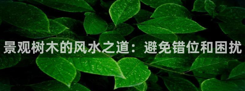 新宝gg是新宝几