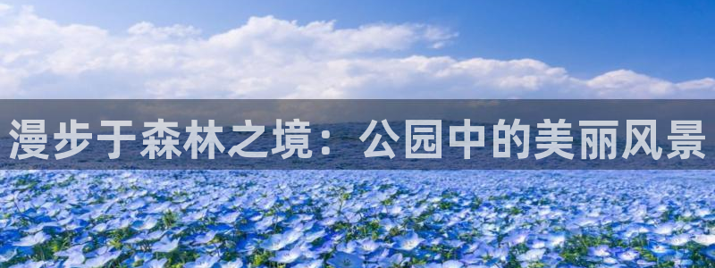 新gg官网_新宝GG创造奇迹