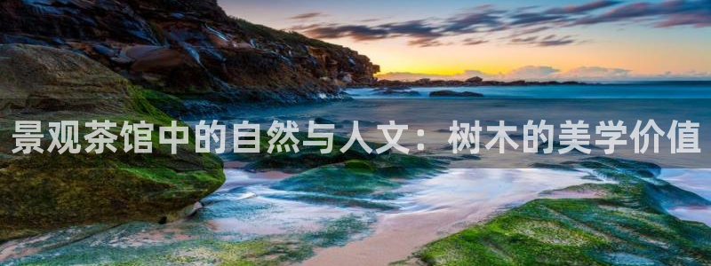 新宝gg—登录:景观茶馆中的自然与人文:树木的美学价值