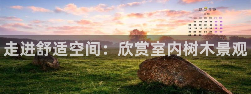 新宝gg开奖结果可信吗