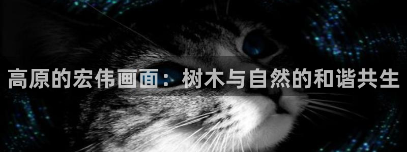 新宝gg注册q 26880：高原的宏伟画面：树木与自然的和谐共生