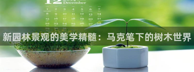 新宝gg龙虎规则