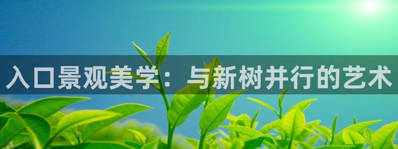 新宝gg投注