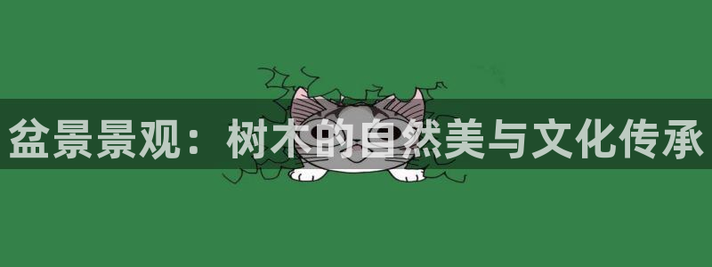 新宝gg游戏平台