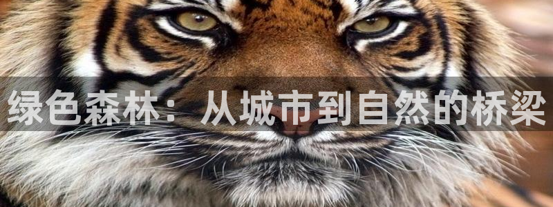 新宝gg直属