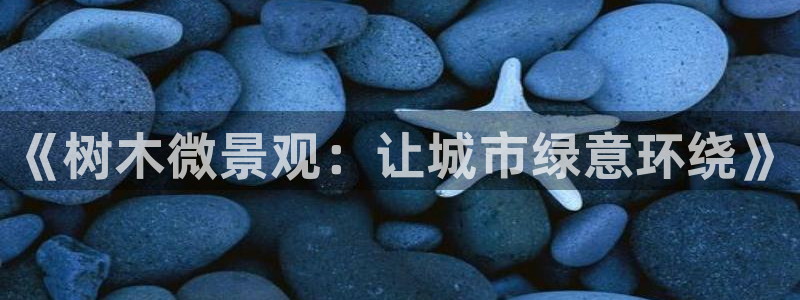 新宝gg手机助手