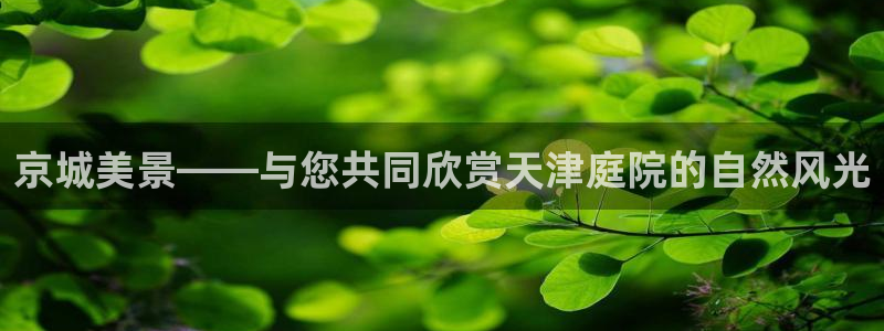新宝gg为什么没人管