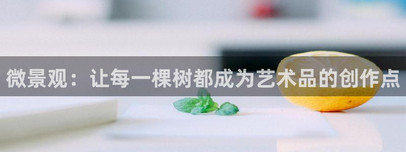 新宝3GG