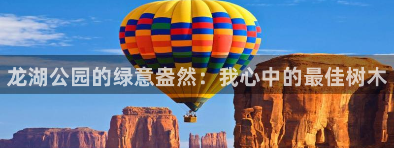 新宝集团gg