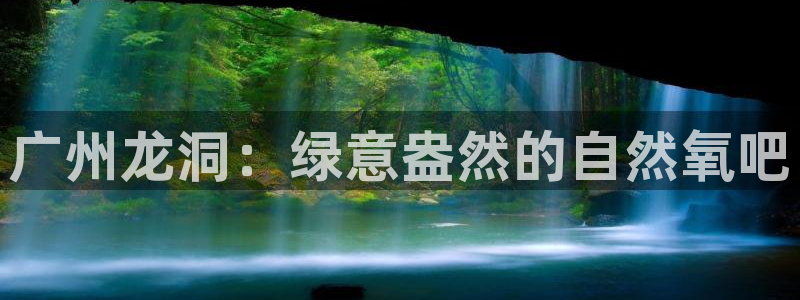 新宝gg好吗