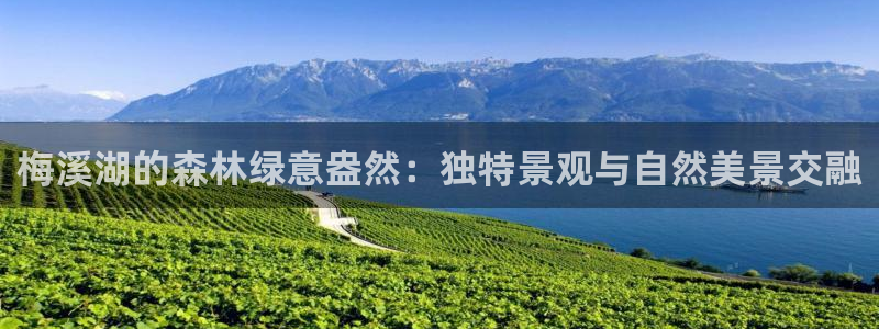 新宝gg开奖结果可信吗