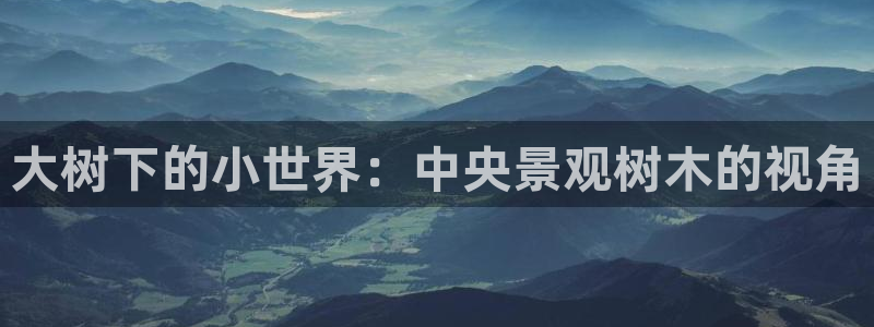 新宝创造Gg：大树下的小世界：中央景观树木的视角