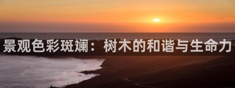 新宝gg娱乐-上鼎狐网：景观色彩斑斓：树木的和谐与生命力