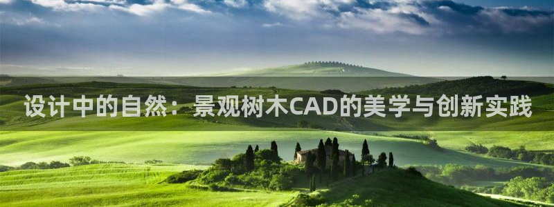 新宝gg反水：设计中的自然：景观树木CAD的美学与创新实践