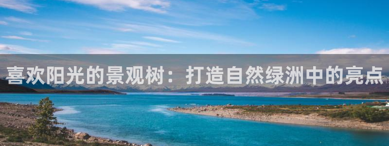 新宝3和新宝gg：喜欢阳光的景观树：打造自然绿洲中的亮点