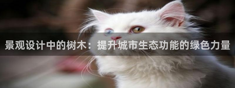 11新宝gg：景观设计中的树木：提升城市生态功能的绿色力量