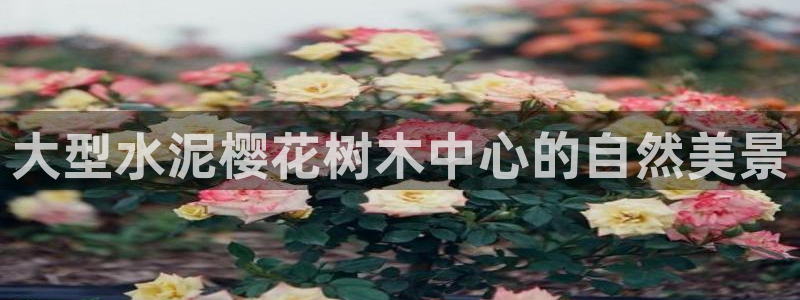 新宝gg找回账号