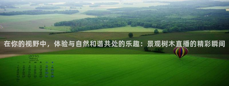 新宝GG股东：在你的视野中，体验与自然和谐共处的乐趣：景观树木直播的精彩瞬间