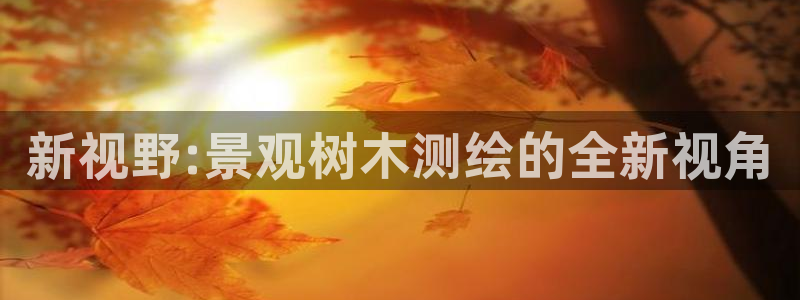 新宝GG程355051：新视野:景观树木测绘的全新视角